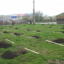 Plantare pomi Pavel Dan, februarie 2014